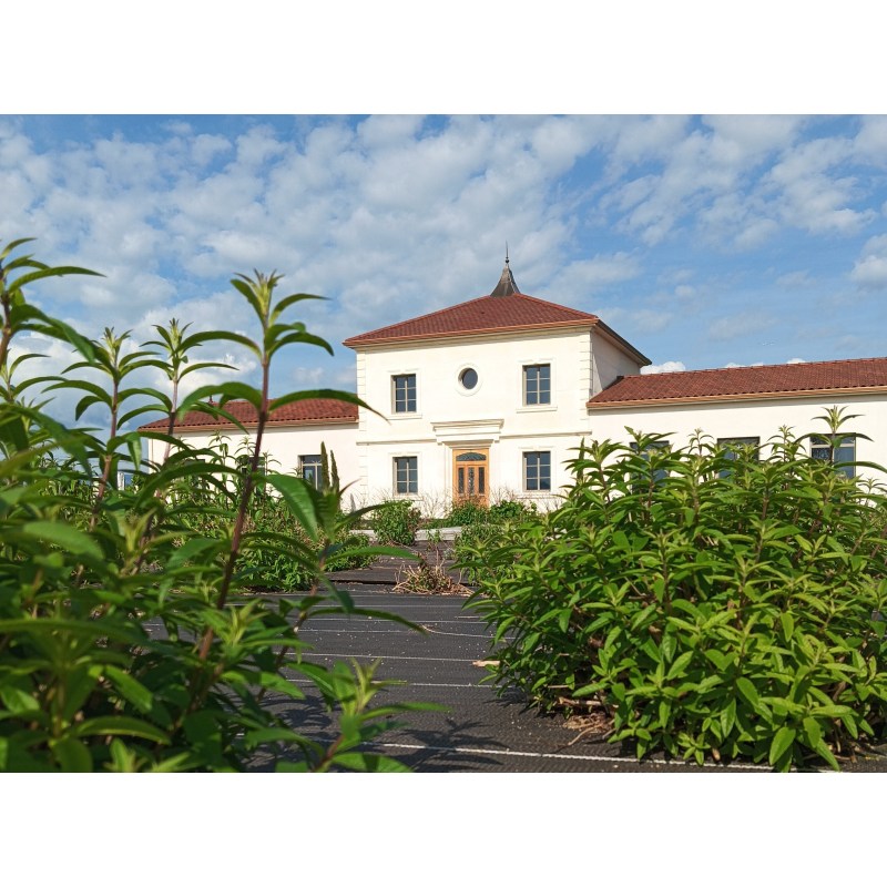 La Verveine du Forez vous ouvre ses portes